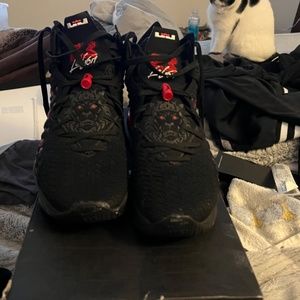Nike Lebron 17 Infared size 12 mens